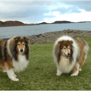 Dusty and Jude