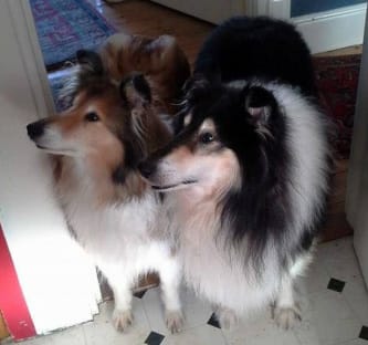 Kara and Jazz