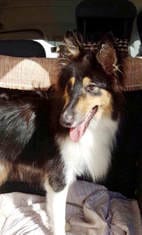 MEET MATEO (U.K. name … MAX)