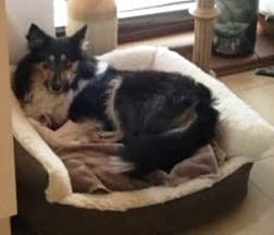 MEET MATEO (U.K. name … MAX)