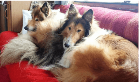 Skoda and Tilly