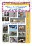 Paws For Thought Summer