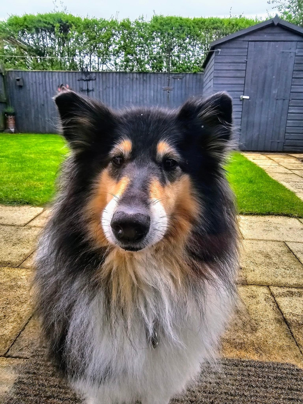 Coco my new story –  May 2024