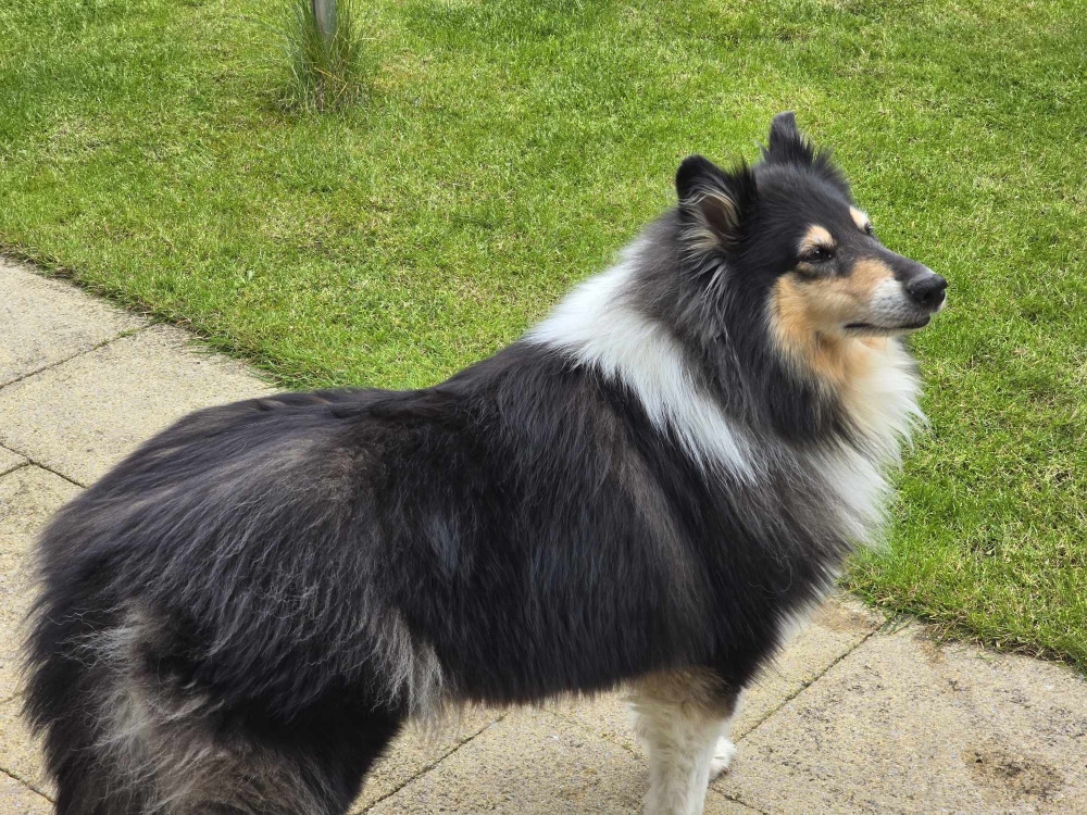 Coco my new story –  May 2024