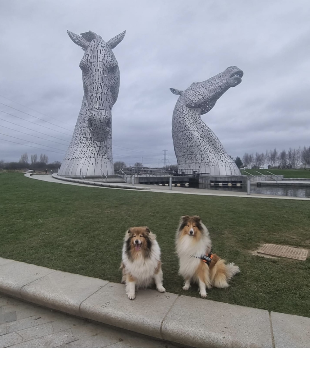 Jackson With New Brother Shadow –  April 24