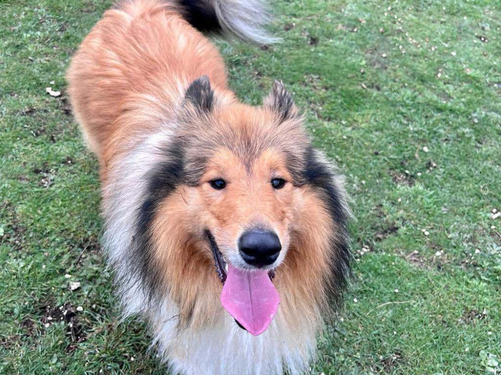 Cooper (Kent Area)