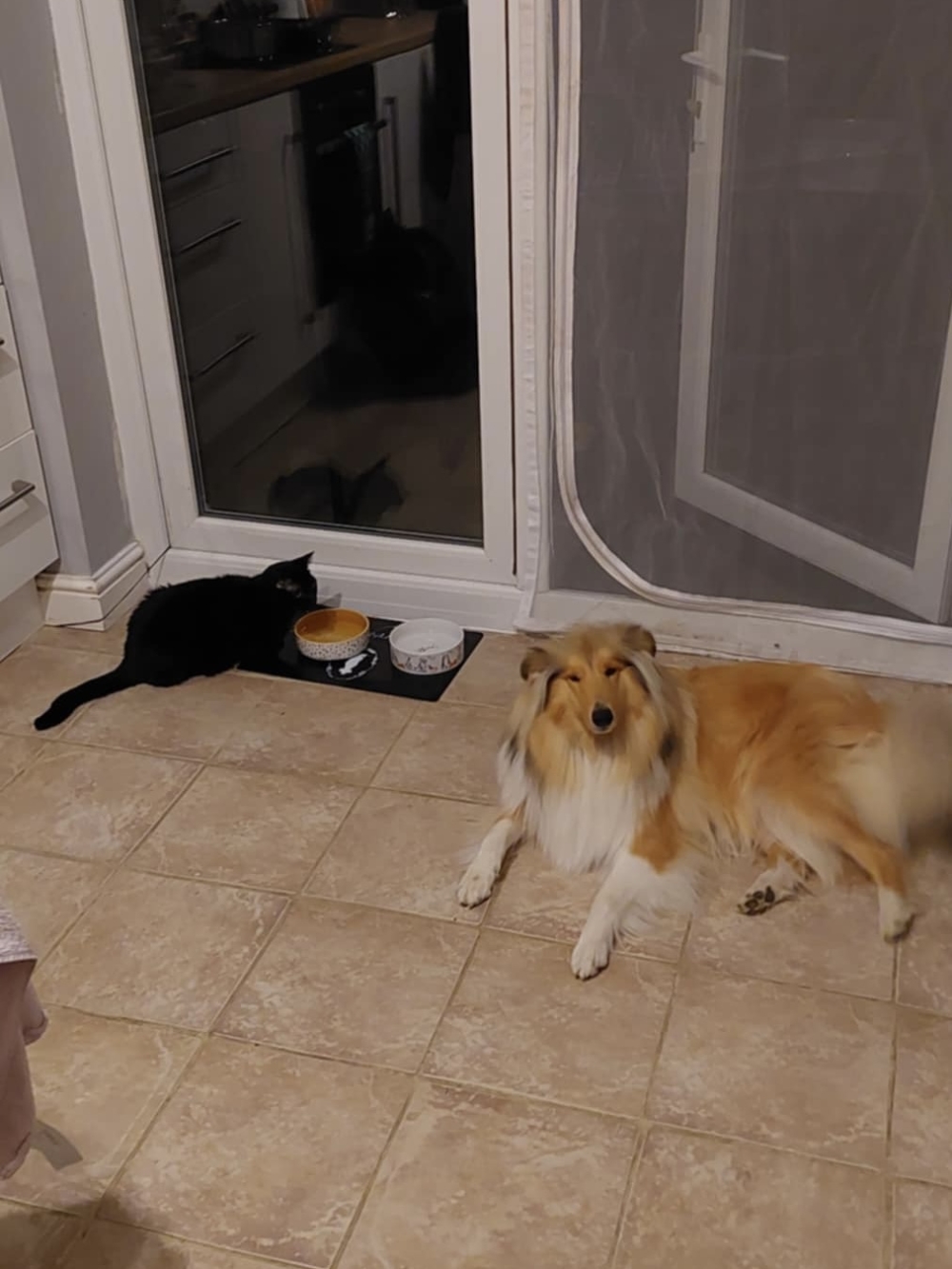 Bella – West Midlands Area