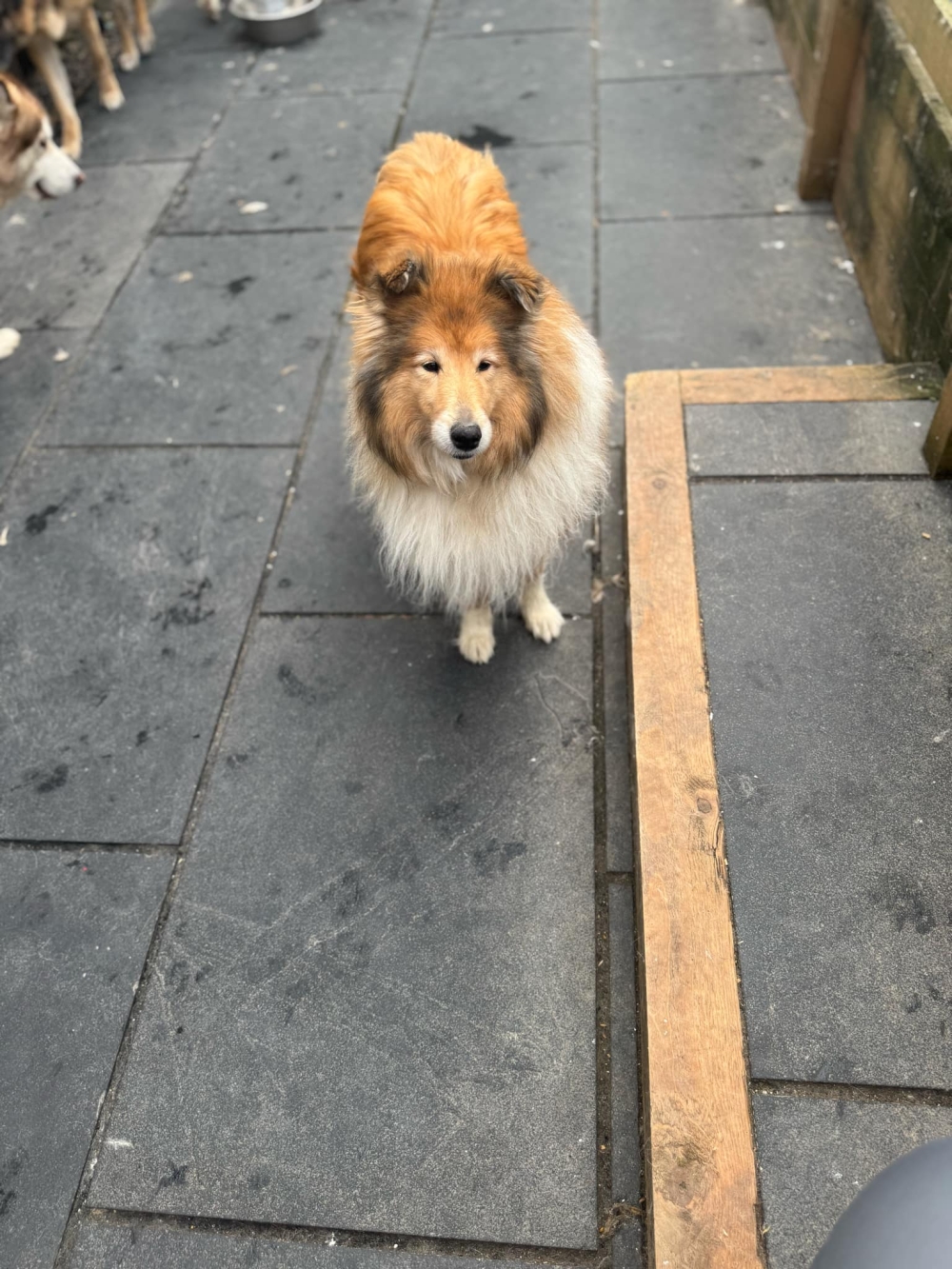 Tara – Manchester