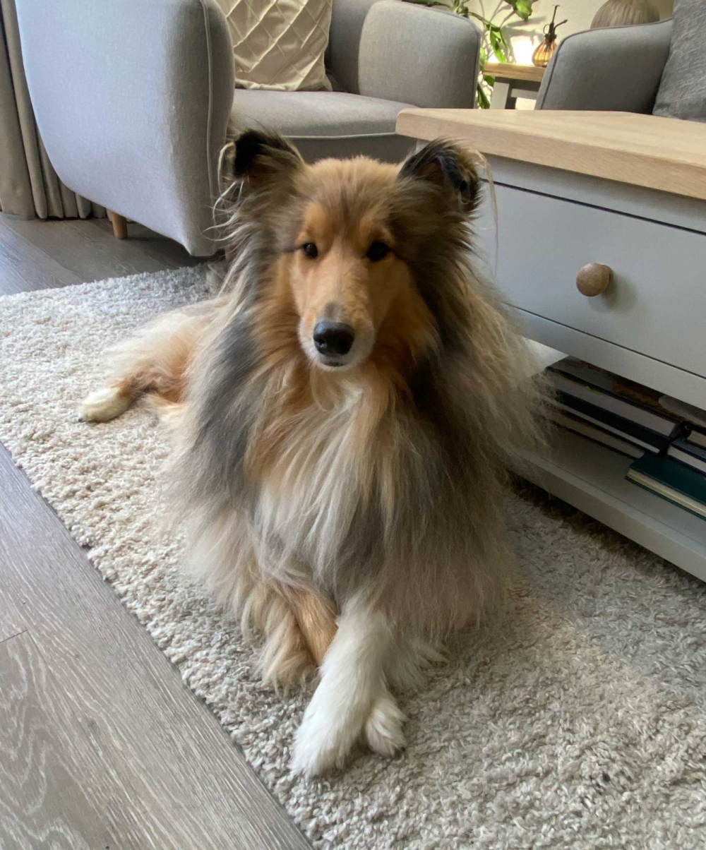 Nala – near Reading. South East.