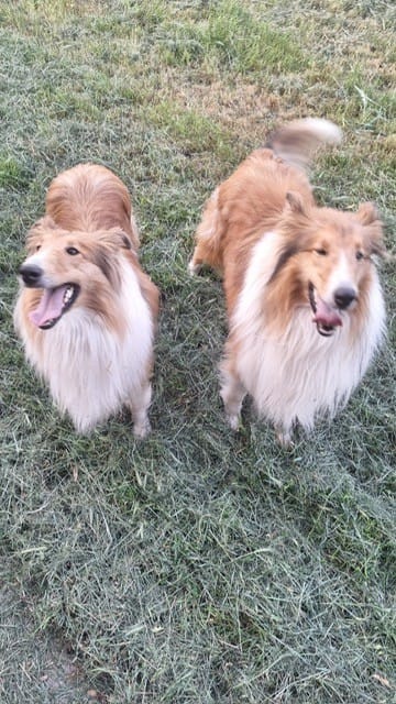 Tessa and Billi
