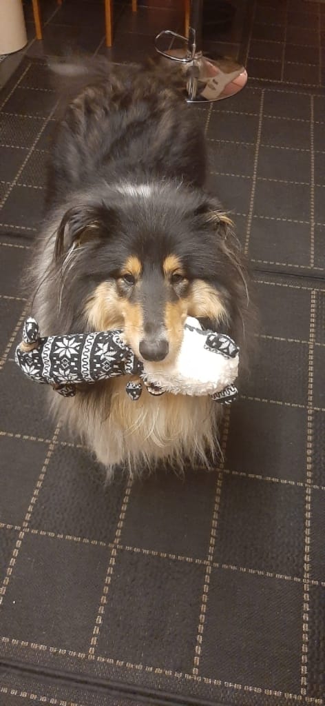 Max – Hertfordshire