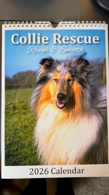 Collie Rescue Christmas Calendar 2025