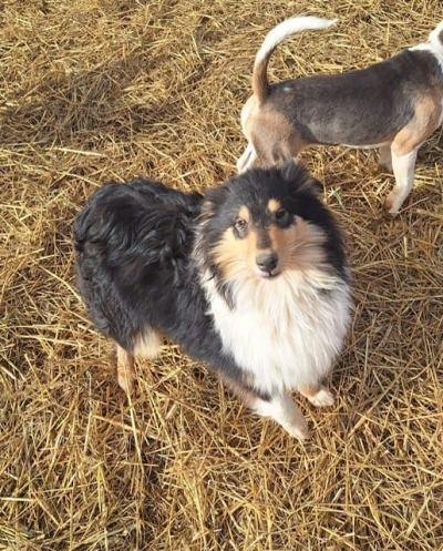 Tammy