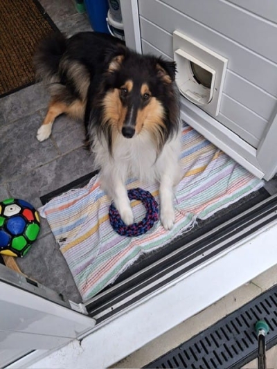 Max -Feb 2026