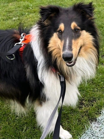 Max -Feb 2026
