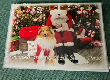 Rough & Smooth Collie Rescue Christmas Cards 2026