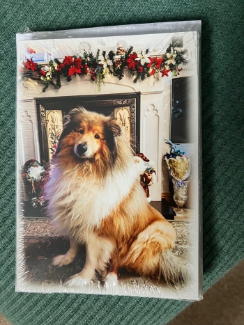 Rough & Smooth Collie Rescue Christmas Cards 2026