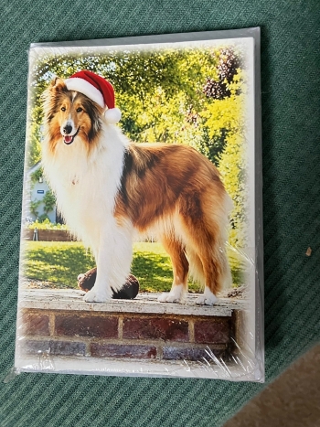 Rough & Smooth Collie Rescue Christmas Cards 2026