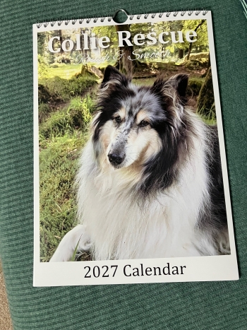 Rough & Smooth Collie Rescue Christmas Calendar 2026